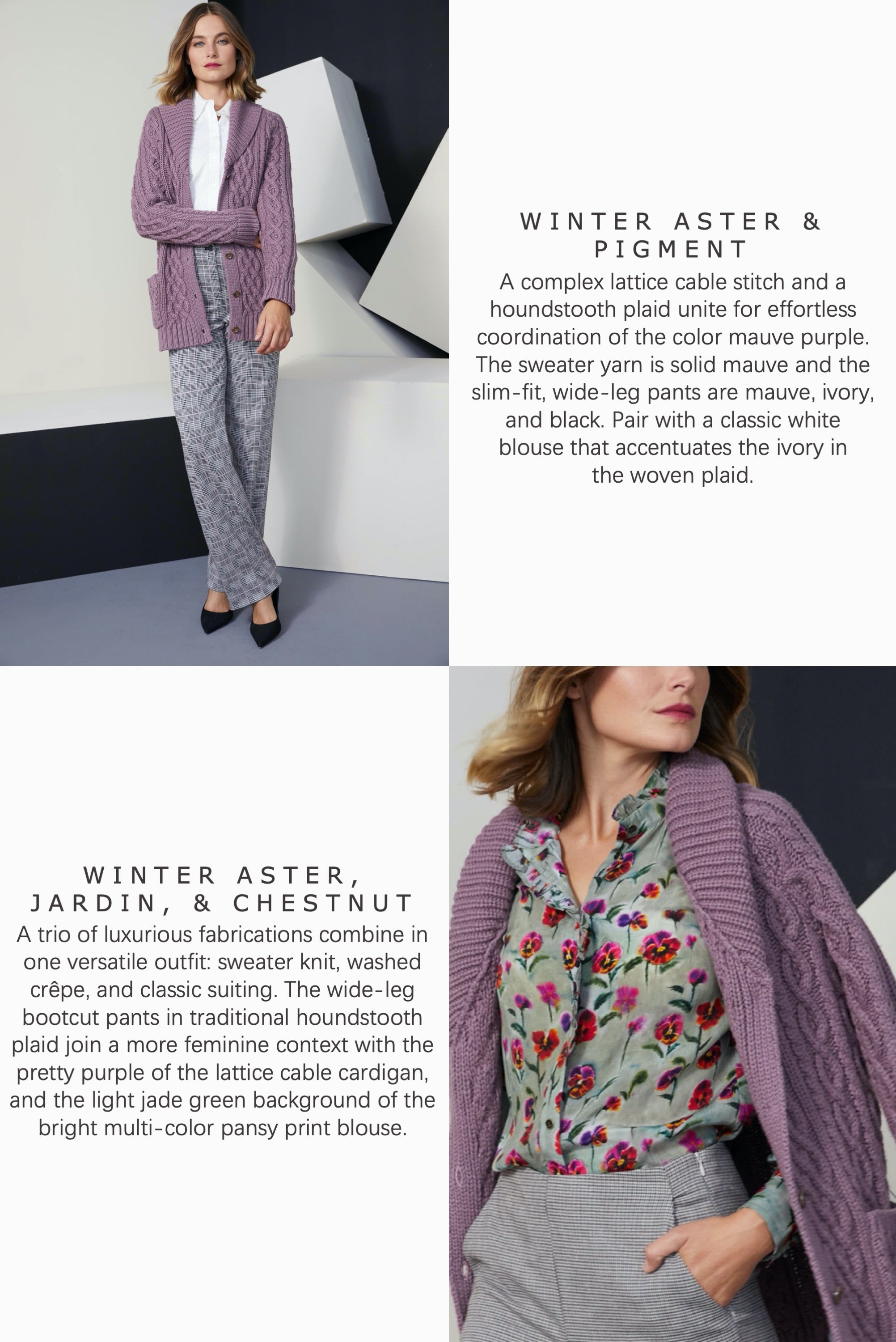 WINTER ASTER & PIGMENT