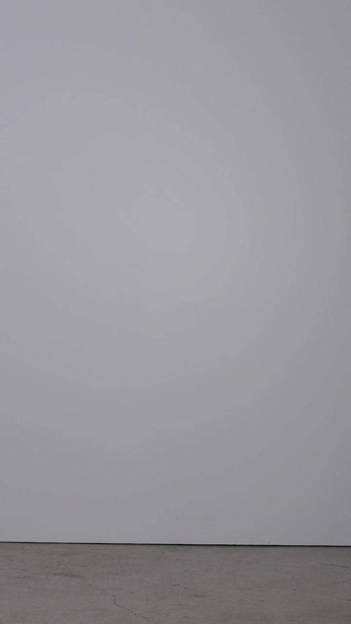 ZIG-ZAG-IVR-RIBBED COTTON TURTLENECK-2-kn-1833-VIDEO