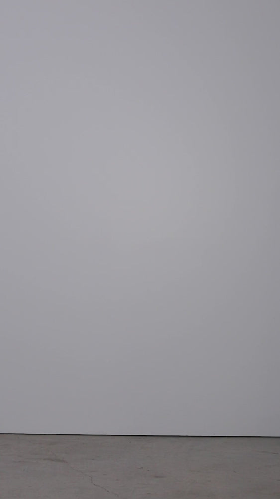 ZIG-ZAG-IVR-RIBBED COTTON TURTLENECK-2-kn-1833-VIDEO