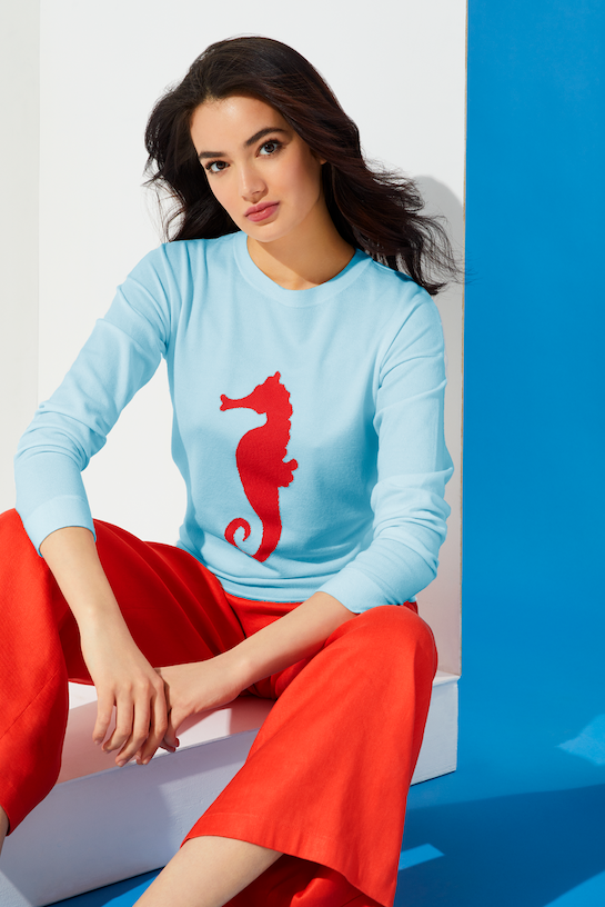 Seahorse - Nautical Intarsia Sweater - On Model